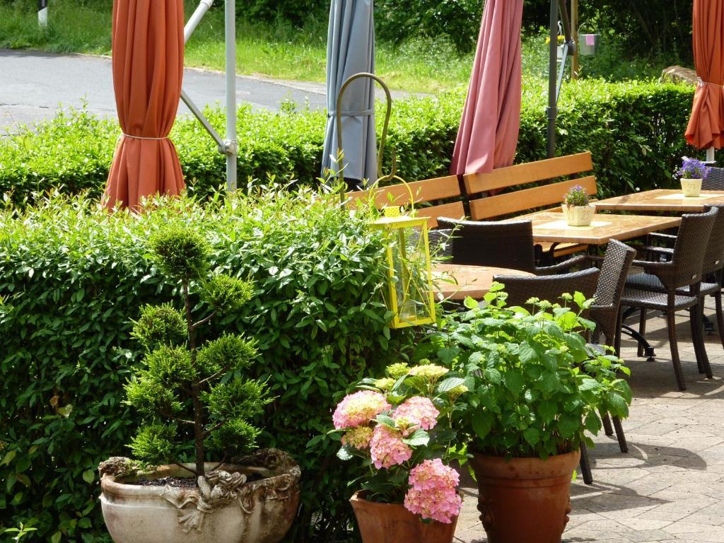 Hotel Waldschloesschen Plein Exteriér fotografie