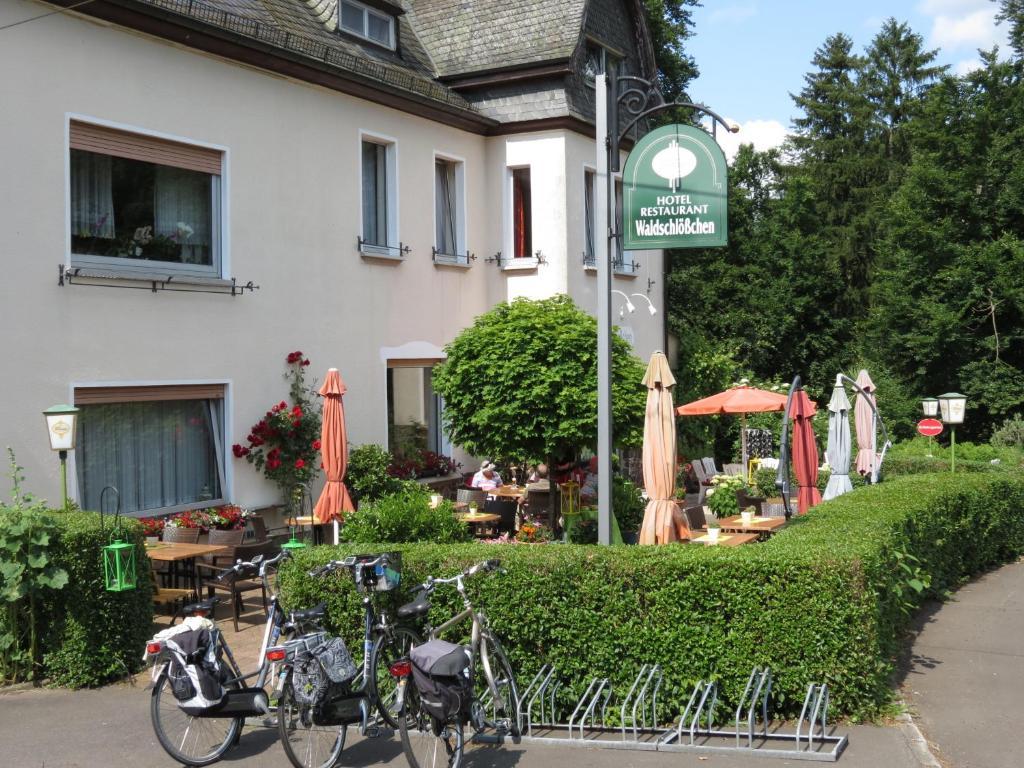 Hotel Waldschloesschen Plein Exteriér fotografie